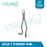 Adult Extraction Forcep