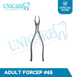 Adult Extraction Forcep