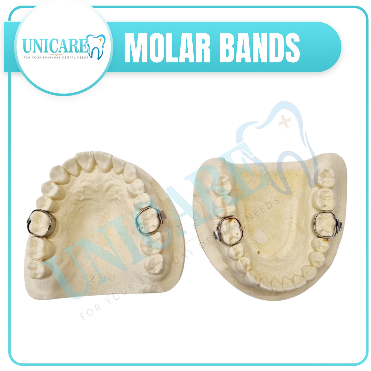 MOLAR BANDS – Unicare Dental Medical Supply