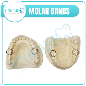 MOLAR BANDS