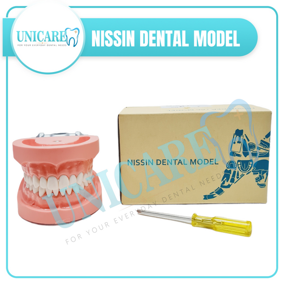 Nissin Dental Study Model – Unicare Dental Medical Supply Nissin Dental Study Model – Unicare Dental Medical Supply