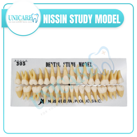 Nissin Study Model