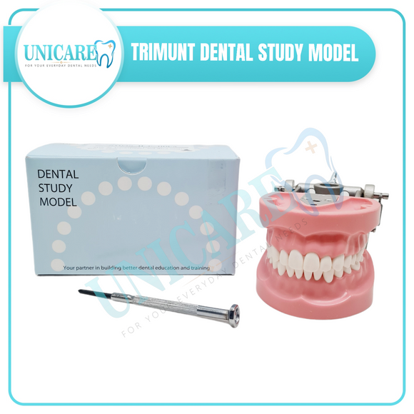 Trimunt Dental Study Model