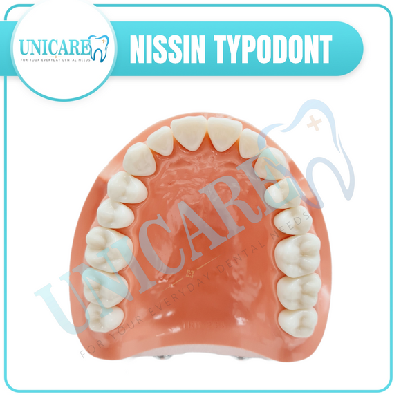 Nissin Typodont Refill