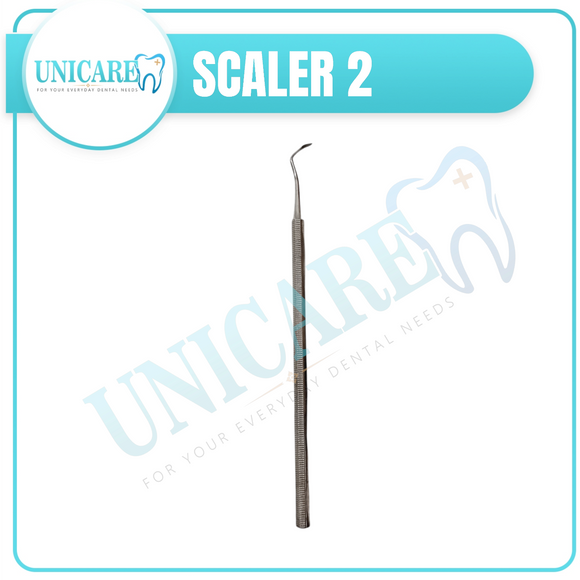 Scaler 2