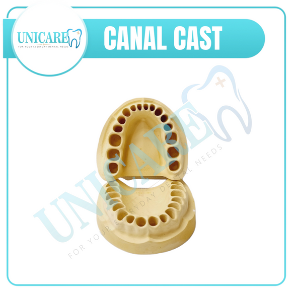Canal Cast