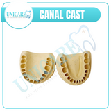 Canal Cast