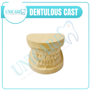 Dentulous Cast