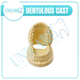 Dentulous Cast